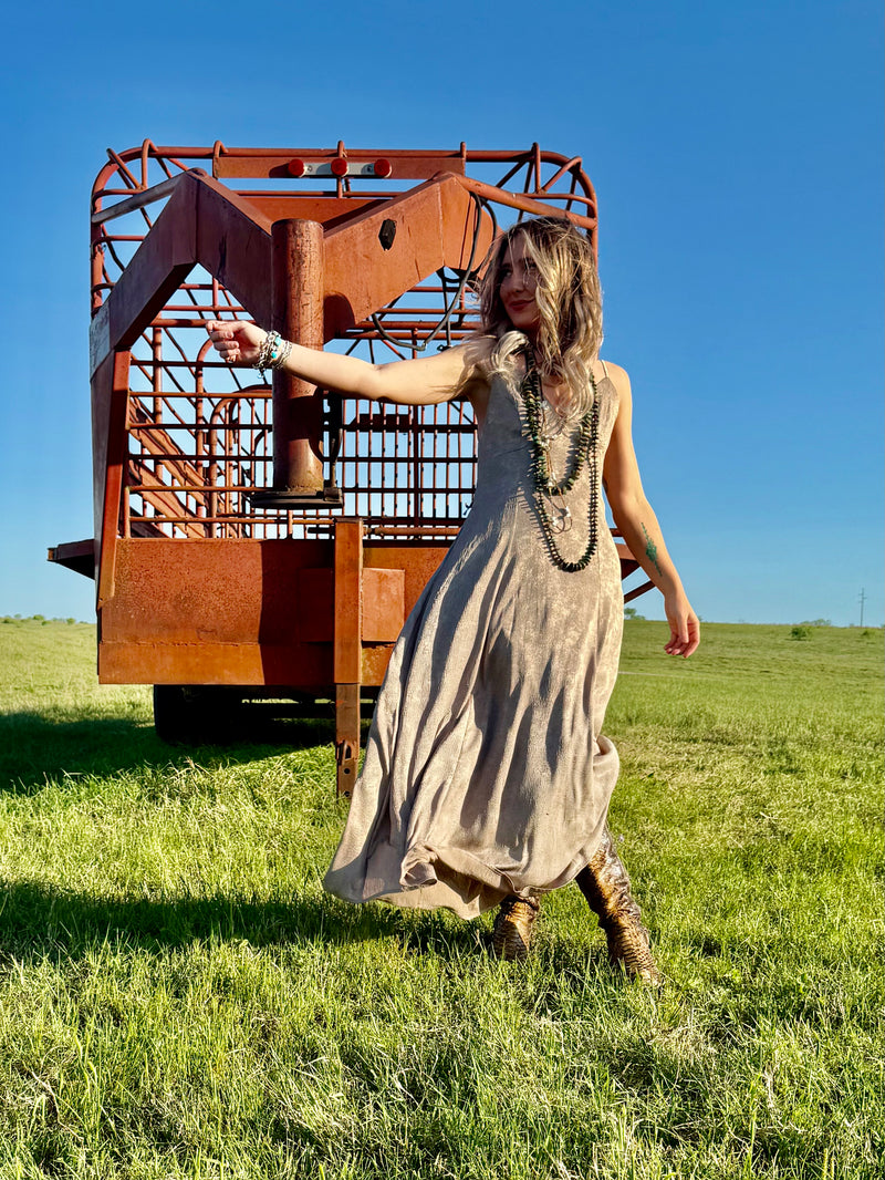 Gila Bend Dress