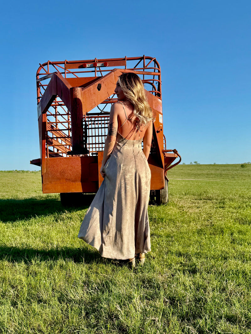 Gila Bend Dress